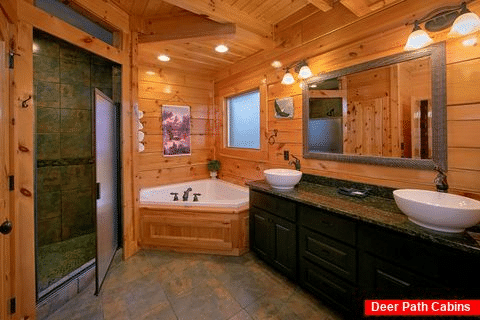 Premium Cabin with Master Bath and Jacuzzi Tub - Alpine Mountain Lodge