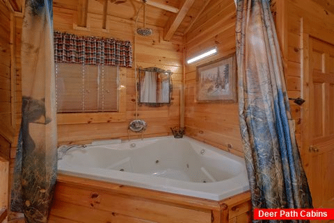Jacuzzi Tub with Views 1 Bedroom Cabin - Bear Heaven